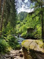 Italien Wandern in Südtirol - Dolomiten (338)