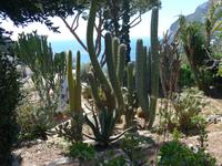 Italien, Capri