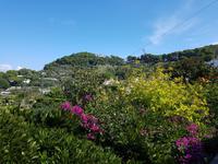 Italien, Capri