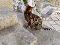 Italien, Capri