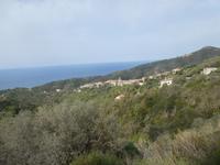 Italien, Cilento, Canniccio