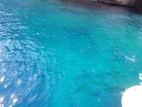 Italien, Cilento, Fische Porto degli Infreschi
