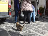Italien, Cilento, Perdifumo, Fischverkauf