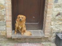 Italien, Cilento, Polica