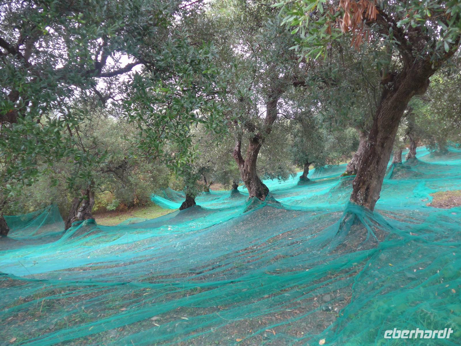 Italien, Cilento