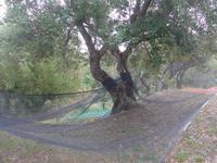 Italien, Cilento