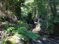 Italien, Elba, Wanderung Monte Capanne, Abstieg
