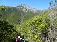 Italien, Elba, Wanderung Monte Capanne, Abstieg