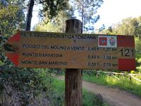 Italien, Elba, Wanderung San Martino
