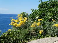 Italien, Elba