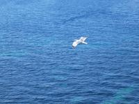 Italien, Elba