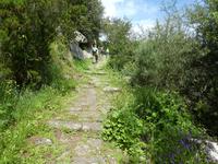 Italien, Giglio