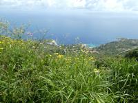 Italien, Giglio