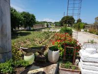 Italien, Pianosa
