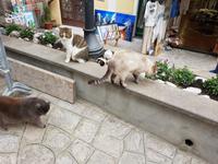 Italien, Positano