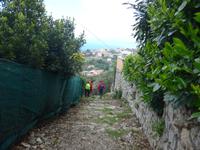 Italien, Wanderung Sorrentinische Halbinsel, Pilgerweg vom Monte Costanzo
