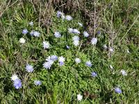 Italien, Wanderung zum Monte Stella