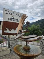 Käserei in Presanella