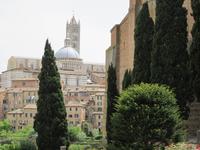 Kathedrale und San Domenico Kirche , Siena