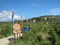 Kochkurs in Frassine
