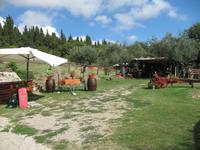 Kochkurs in Frassine