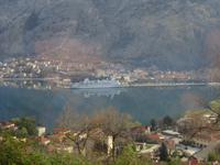 Kotor