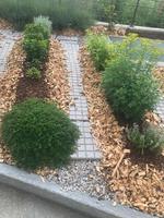 Kräutergarten am Hotel