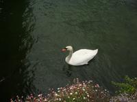 Lago Maggiore