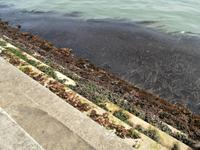 Lagune Venedig