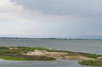 Lagune von Grado
