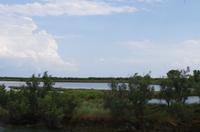 Lagune von Grado