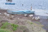 Lagune von Grado