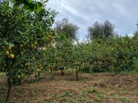 Landgut 