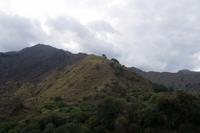Landschaft