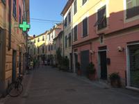 Levanto