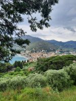 Levanto