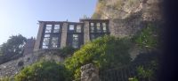 Limone Zitronengarten