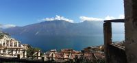 Limone Zitronengarten