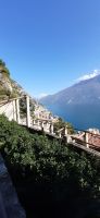 Limone Zitronengarten