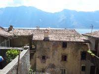 Limone