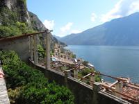 Limone
