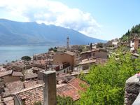 Limone