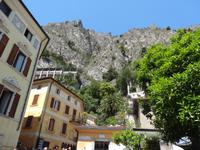 Limone