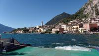 Limone