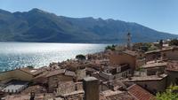 Limone