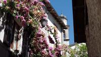 Limone