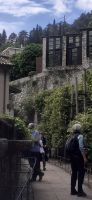Limone