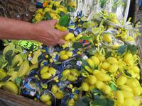 Limonen- Seife
