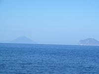 Lingua (4)