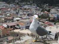Lipari Stadt